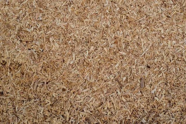 Close-up of light brown wood shavings scattered across a surface.