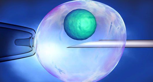 Learn more about Assisted Reproductive Tech Embryo