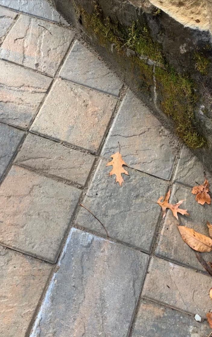 Stone tile path with brown oak leaf. Mossy wall on the right.