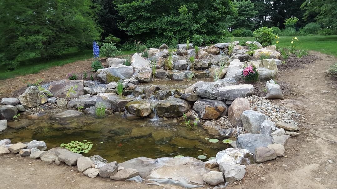 Rocky water feature with a small pond, flowers, and greenery.