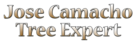 Jose Camacho Tree Expert - logo