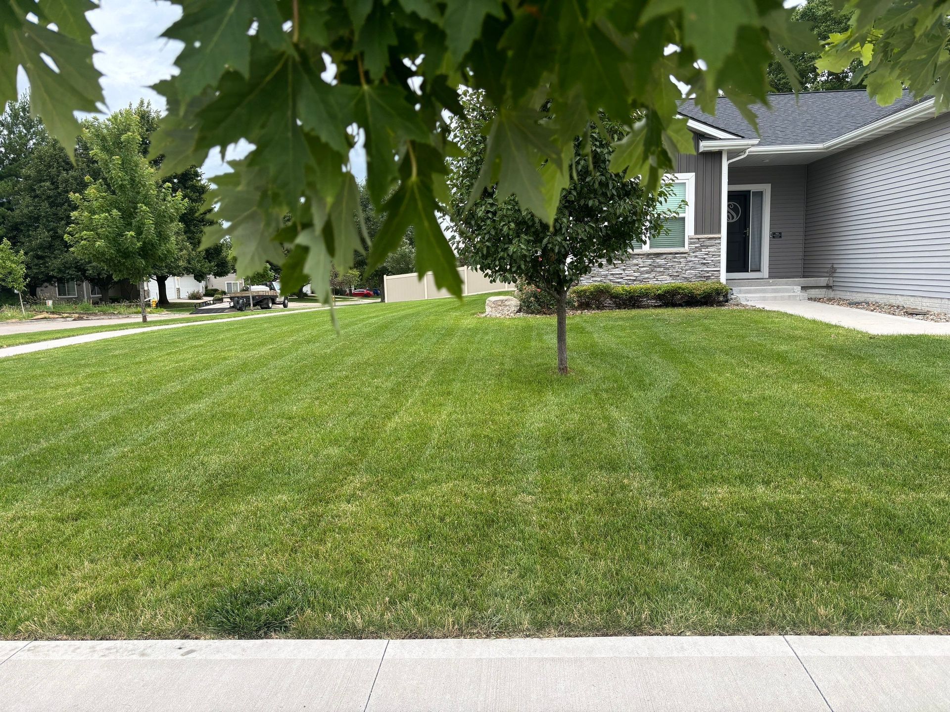 Suburban front yard with a green lawn, small tree, and house partially visible behind it.