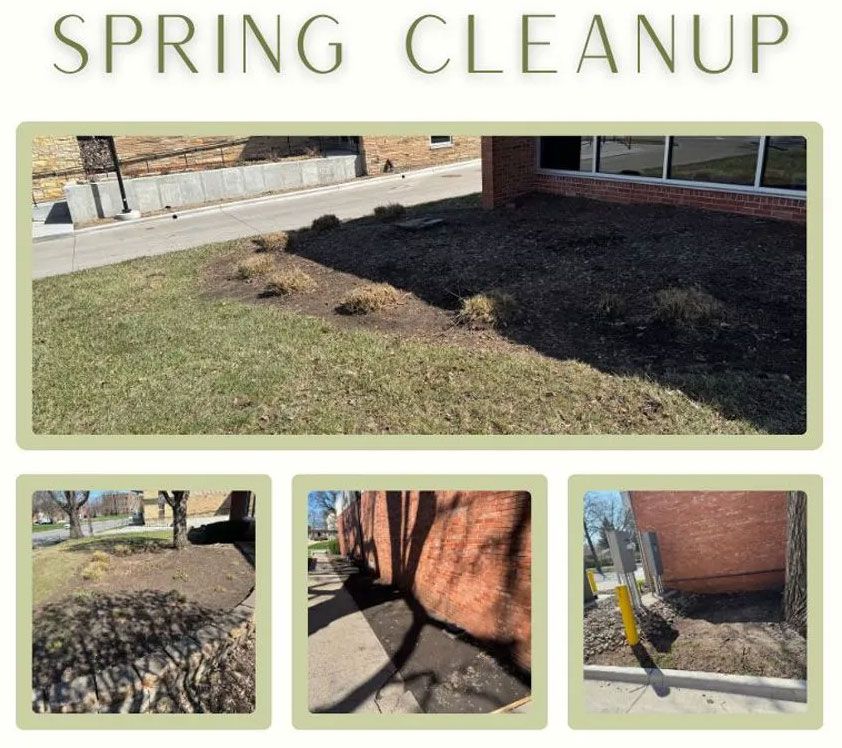 Spring cleanup; lawn with dark mulch and bare patches near a building.