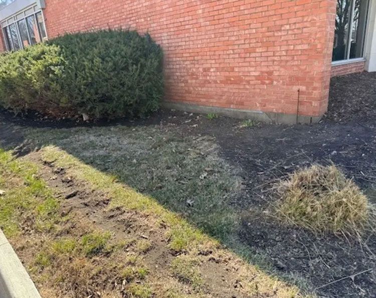 A low, brick building with a dark patch of grass, bushes, and a small dirt patch in front.