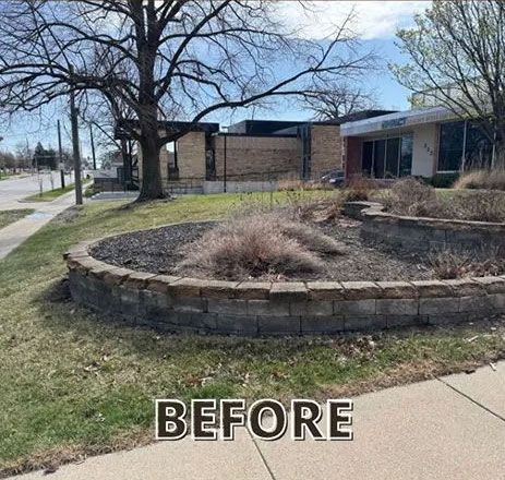 A brick-walled flowerbed with dead plants in front of a building with large windows and a tree.