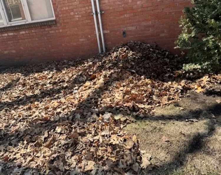 Pile of dried brown leaves against a red brick building and a patch of grass on a sunny day.