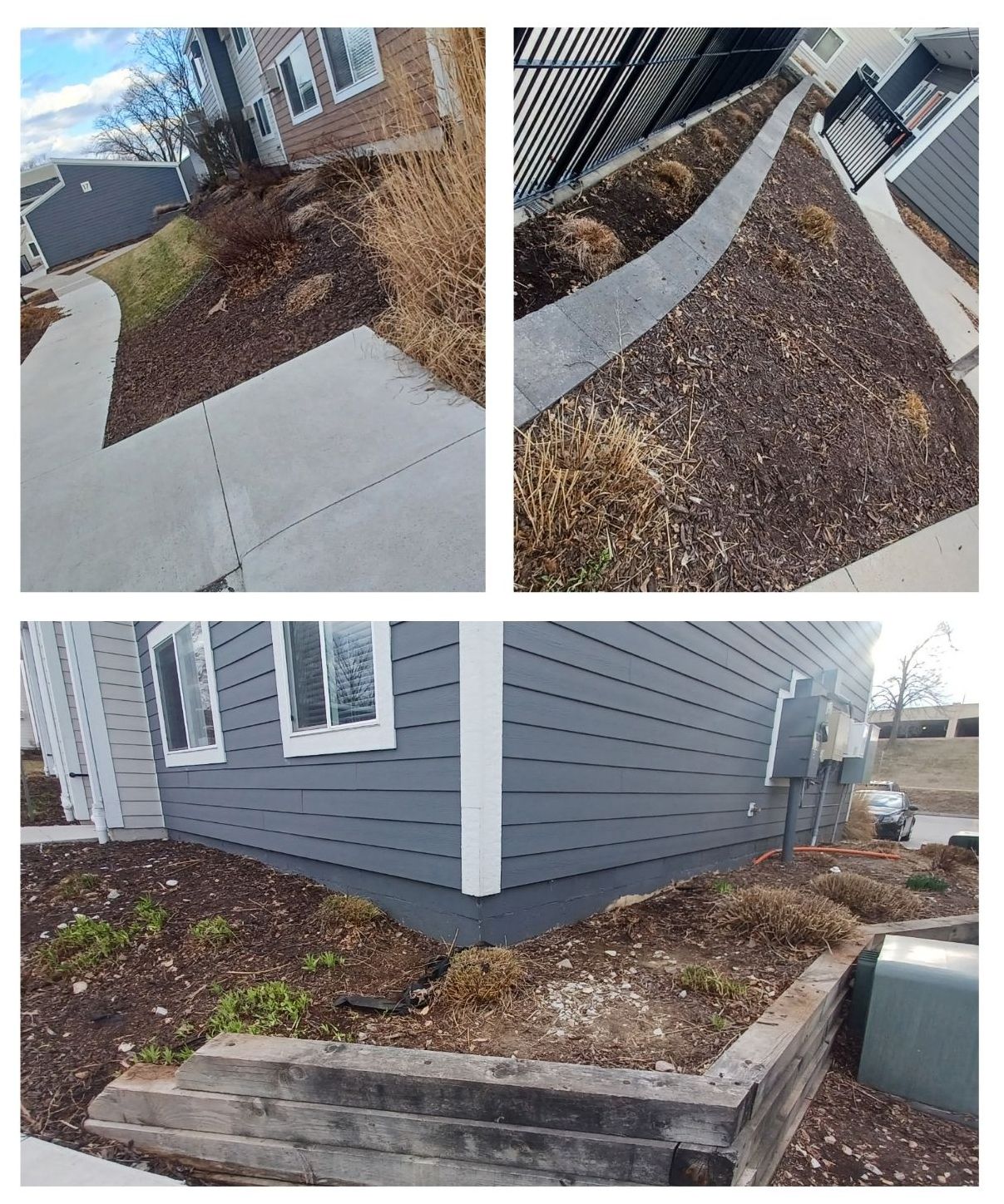 Mulched landscaping bed with brown mulch, low shrubs, and a gray building.