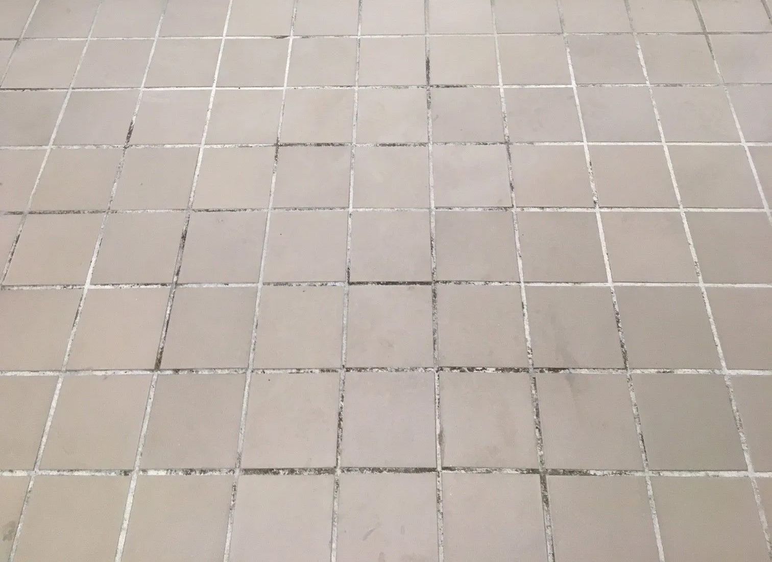 A close up of a tiled floor with white grout.