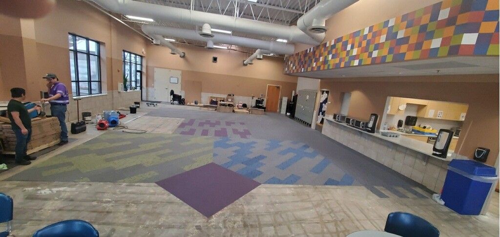 A large room with a lot of windows and a purple carpet.