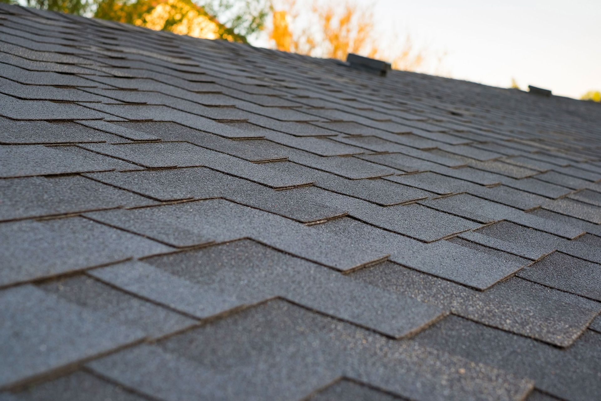 Close-up of gray asphalt roof shingles with orange trees visible at the top edge