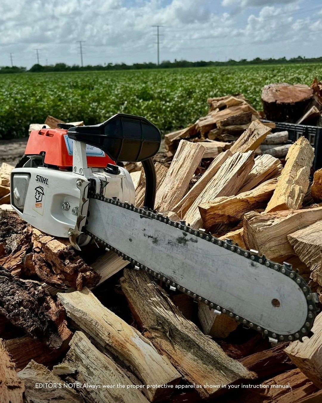 Chainsaw on firewood, orange and white, in a field with green plants and power lines.