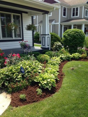A lush garden bed with green and yellow plants in front of a gray house.