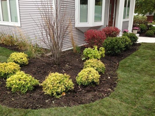 Garden bed with green, yellow, and red shrubs in front of a gray house with white trim.
