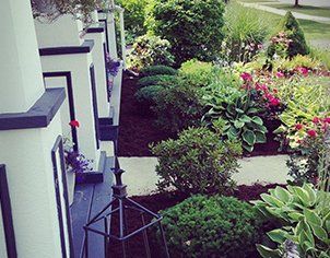 Front yard garden bed with various green plants and colorful flowers along a porch.