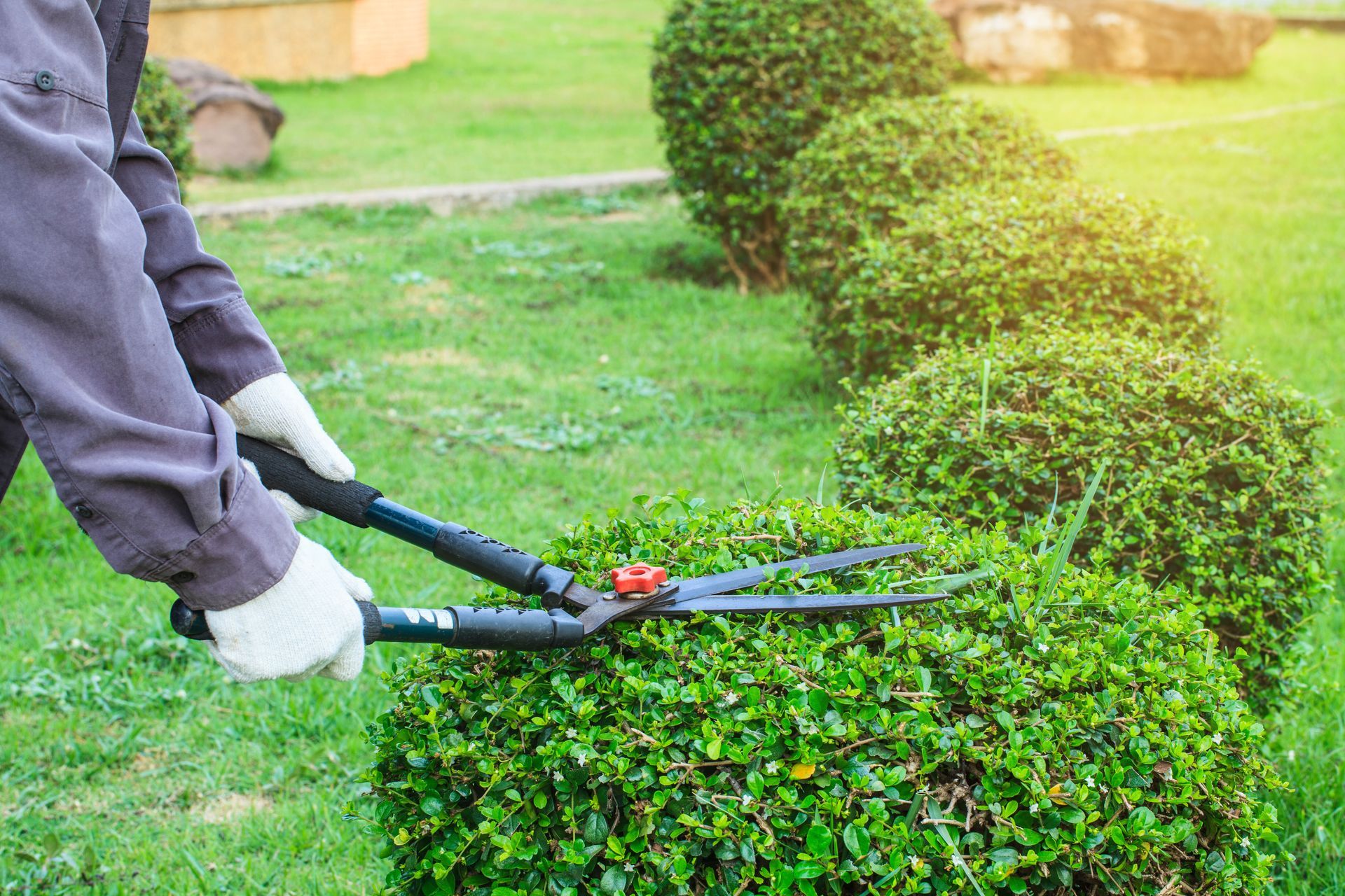 lawn mower repairs