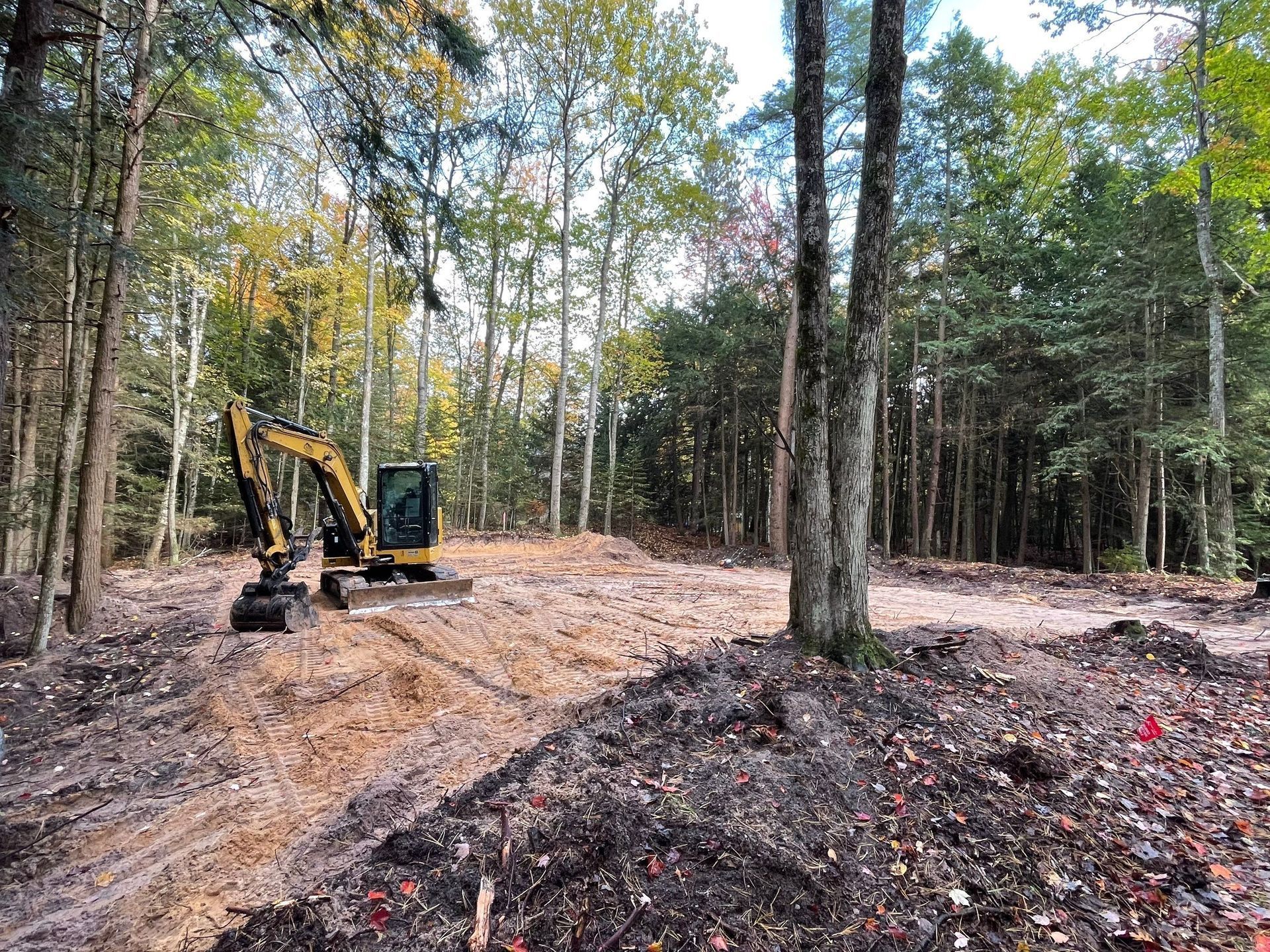 An excavator clears a wooded area; trees in background, autumn leaves, brown earth.