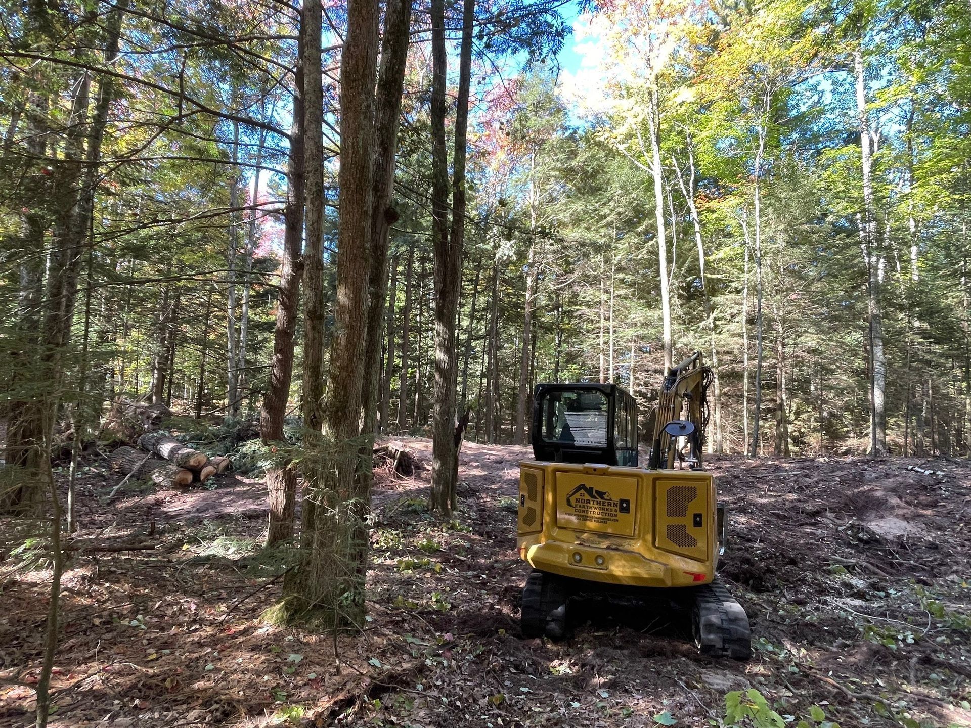 Yellow excavator clearing trees in a forest.