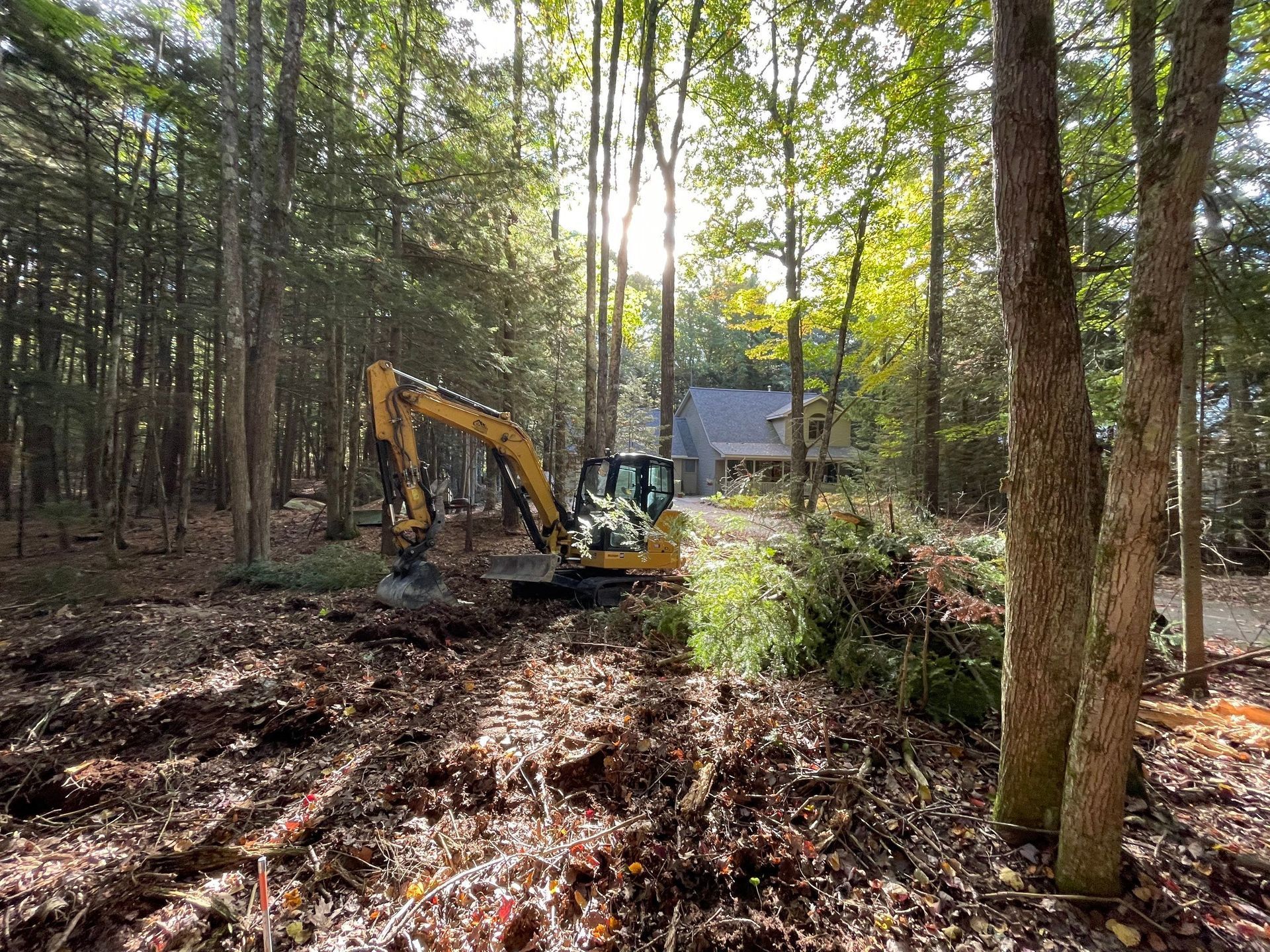 An excavator clearing brush in a wooded area near a house on a sunny day.