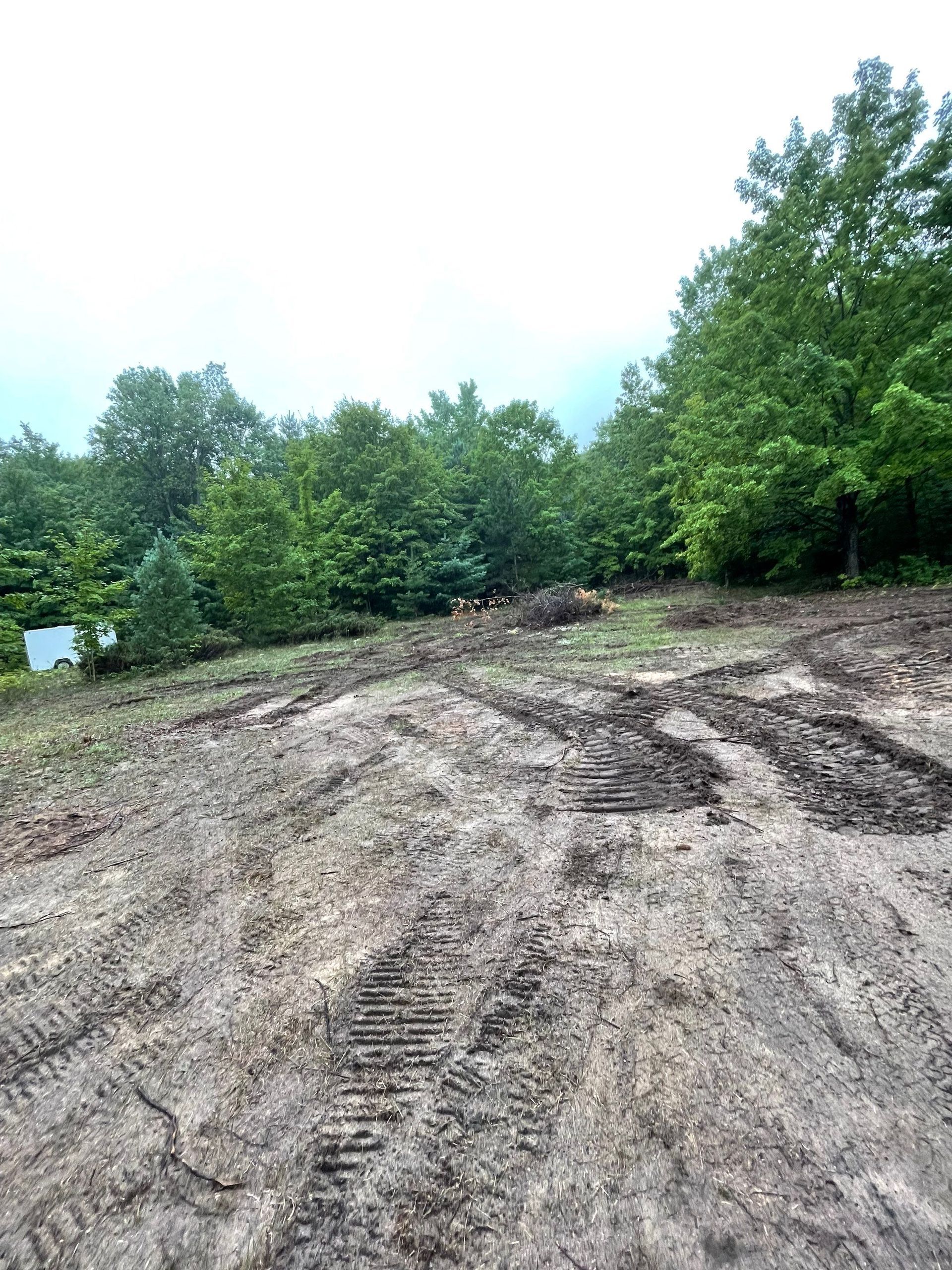 Muddy ground with tire tracks, trees in background under overcast sky.