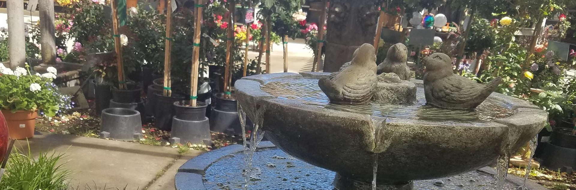 Bird Bath Water Fountain