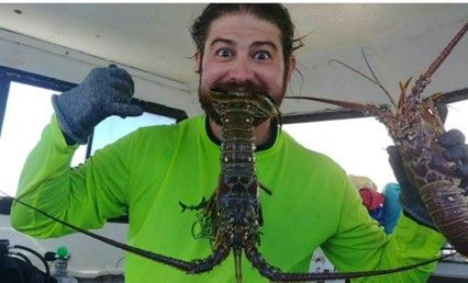 A man in a green shirt is holding a lobster in his mouth.