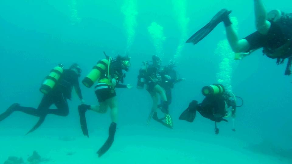 People enjoying scuba