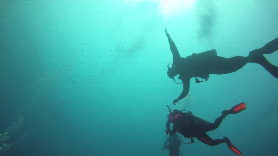 People underwater