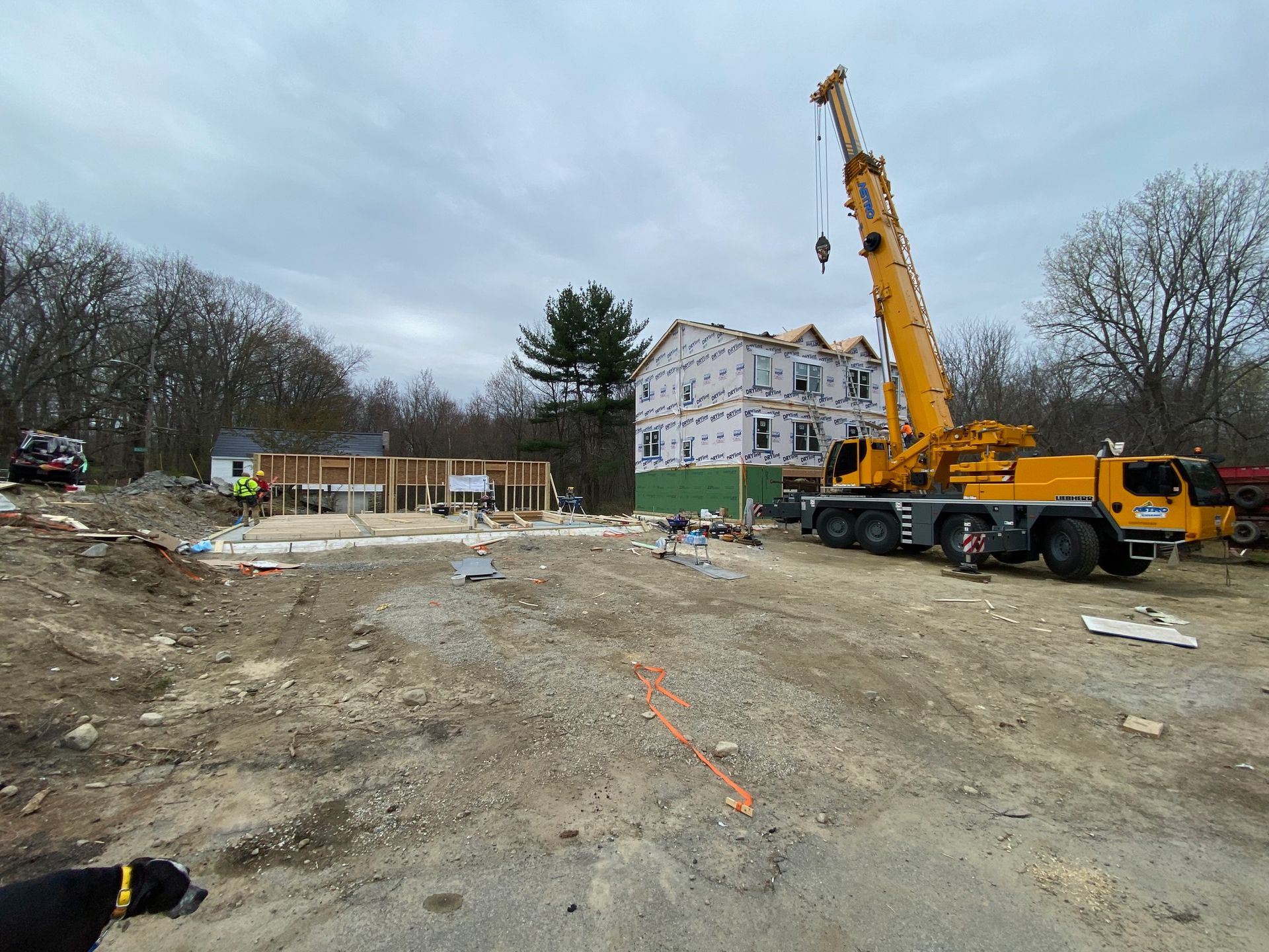Construction site with crane lifting materials to a two-story building; a small dog in foreground.