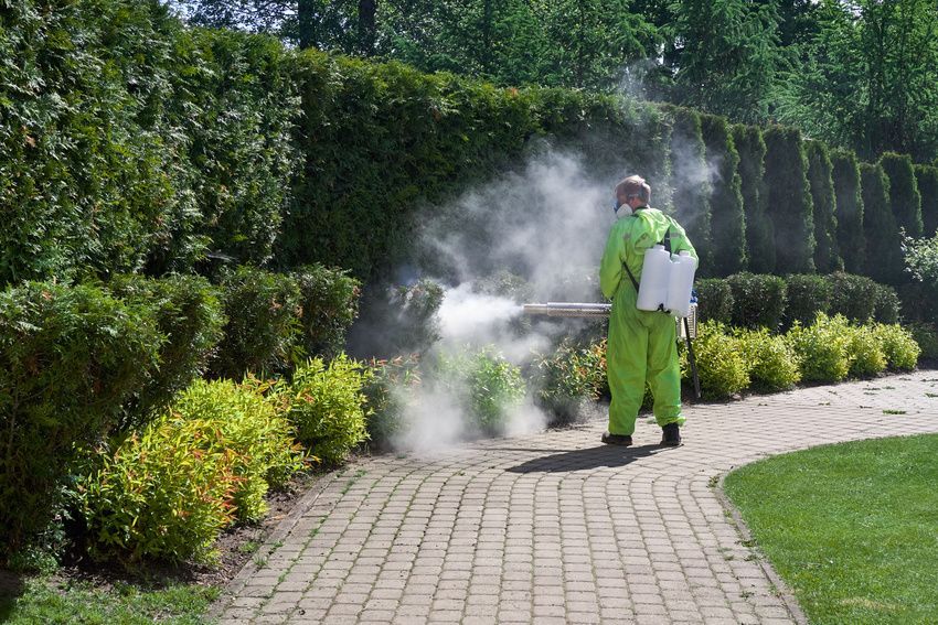 A man in a green suit is spraying plants in a garden.