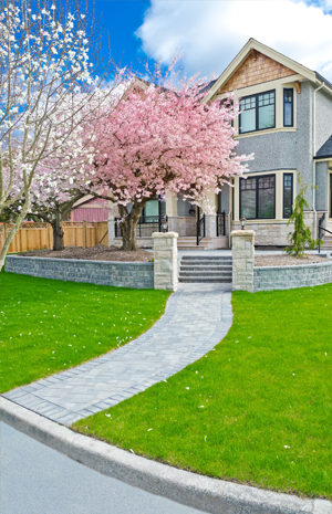 Beautiful front yard with cherry blossoms