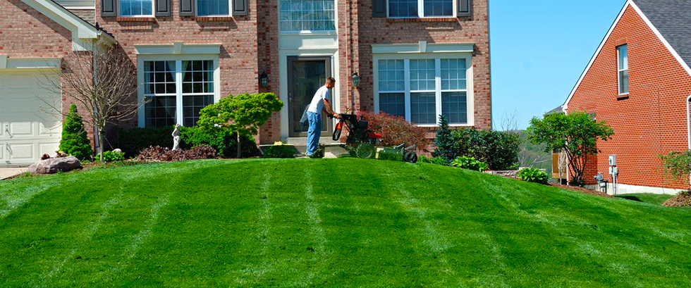 Man mowing the green lawn