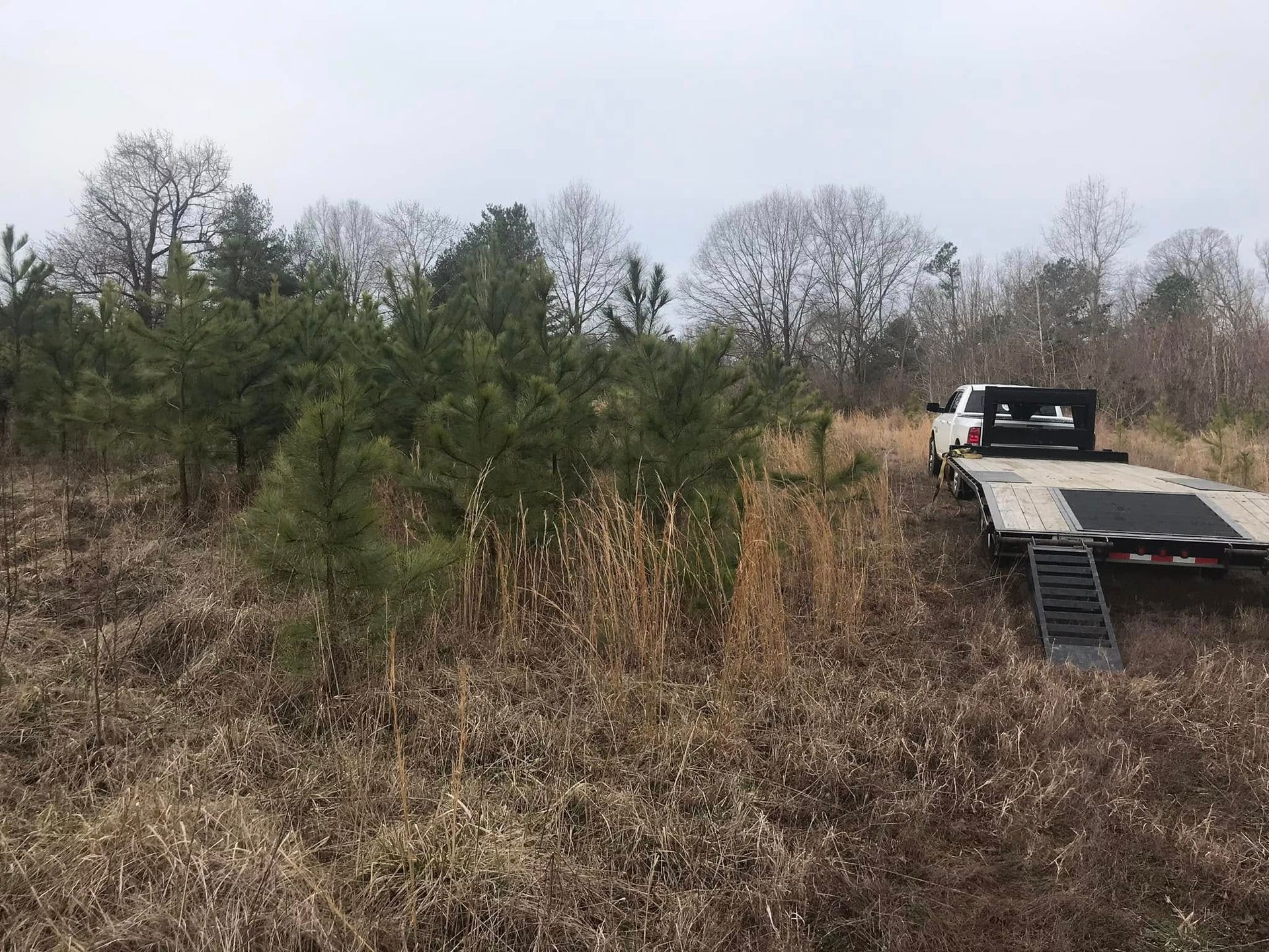 A truck is towing a trailer in a field with trees in the background.