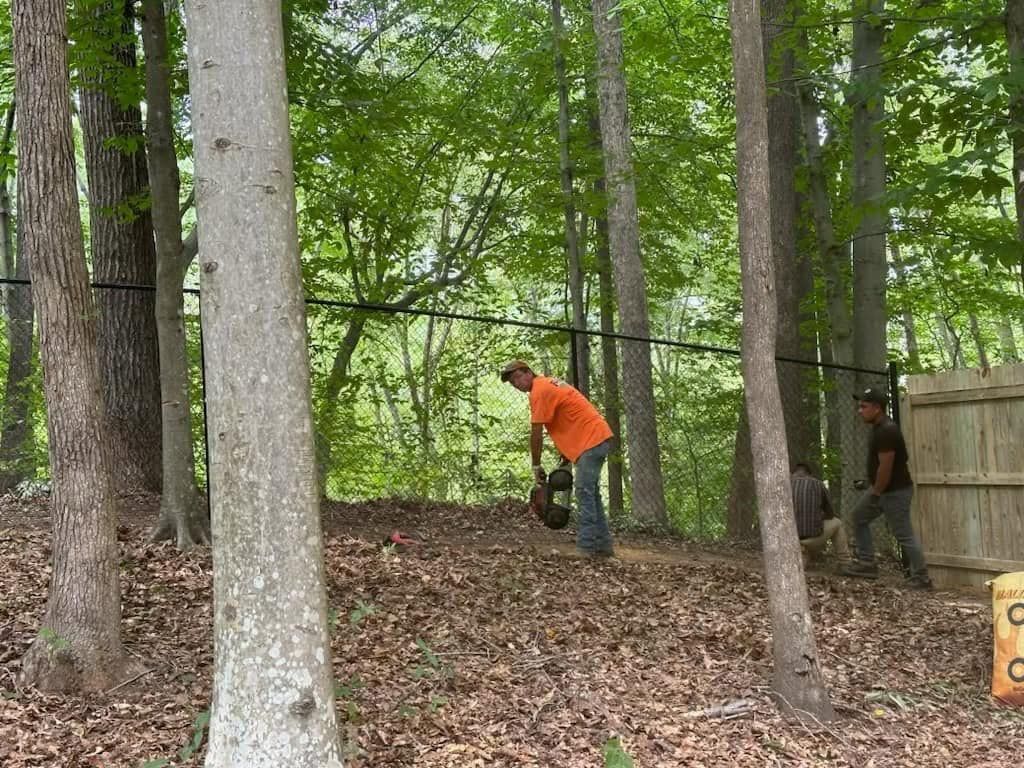 A man in an orange shirt is standing in the middle of a forest.
