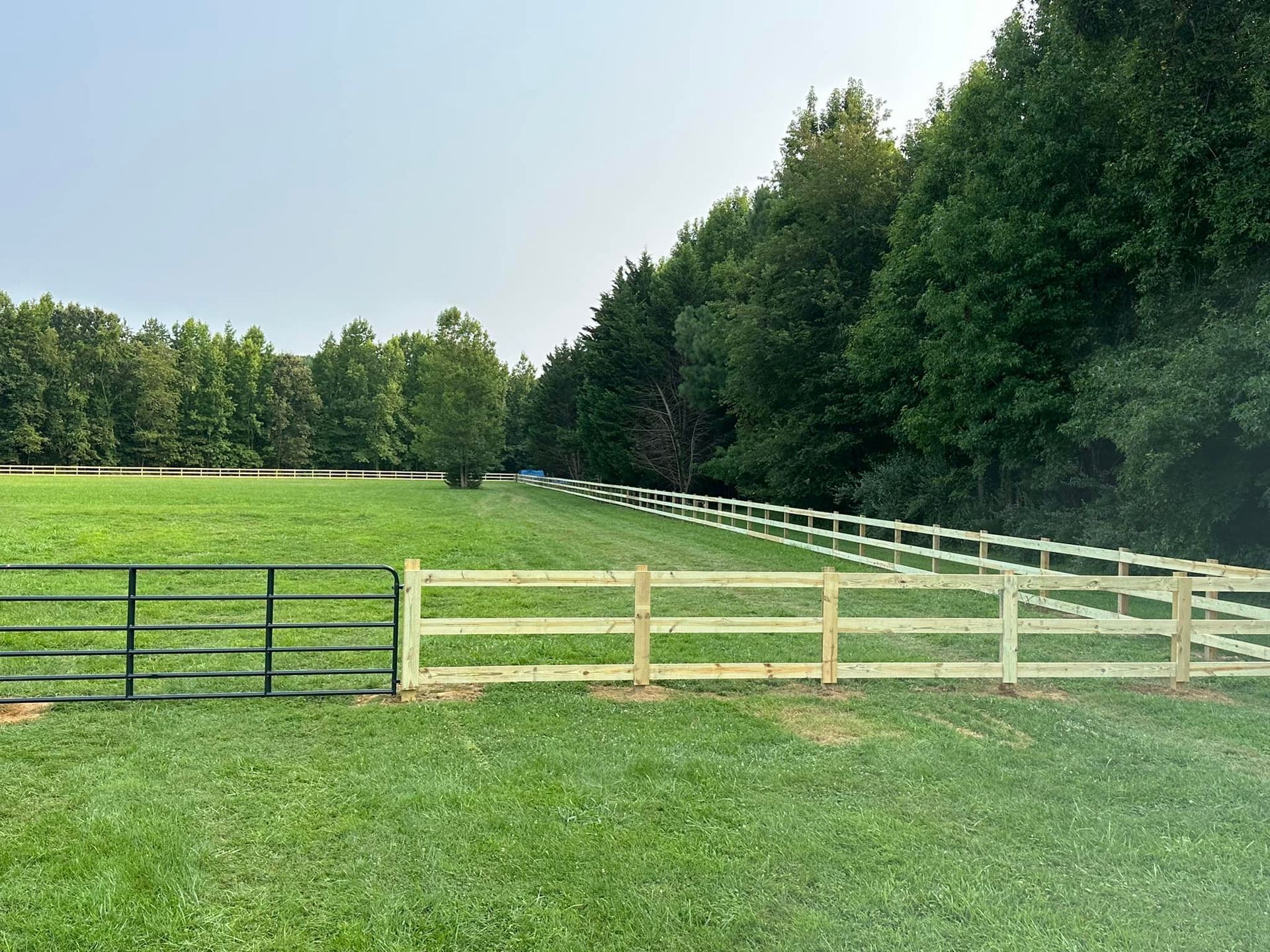 A wooden fence surrounds a grassy field with trees in the background.