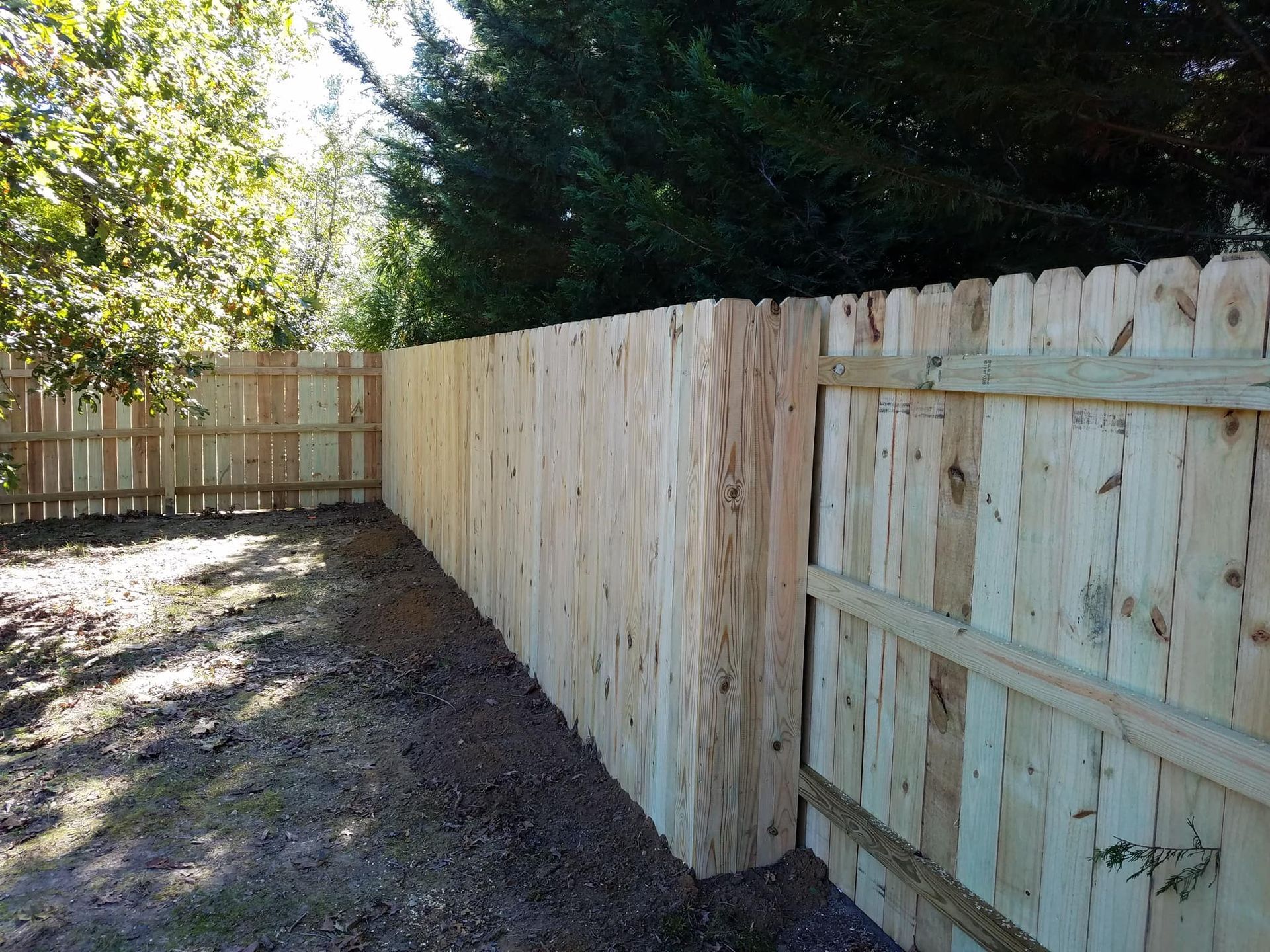 A wooden fence is surrounded by trees in a backyard.