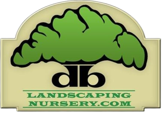 D B Landscaping and Lawn Care - Logo