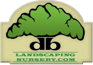 D B Landscaping and Lawn Care - Logo