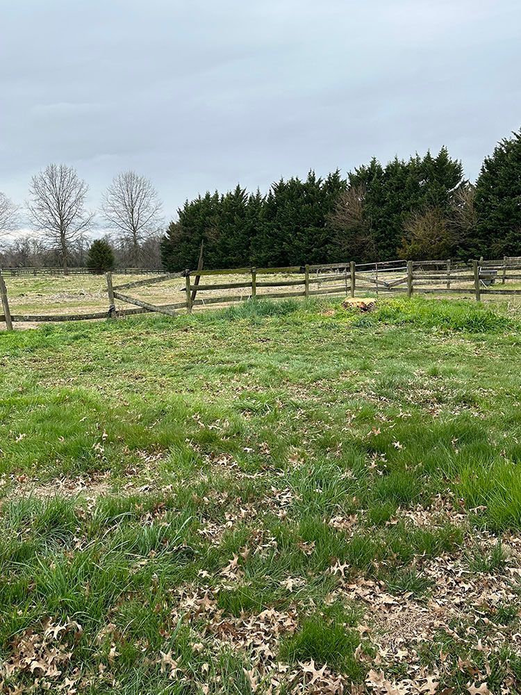 Grassy field with a wooden fence, evergreen trees, and overcast sky.