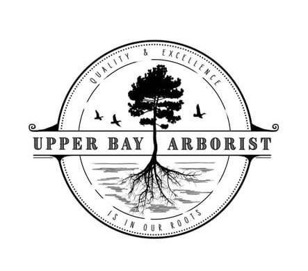 Upper Bay Arborist - logo