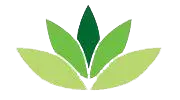Green leaf logo with three stylized leaves in dark and light green on a white background