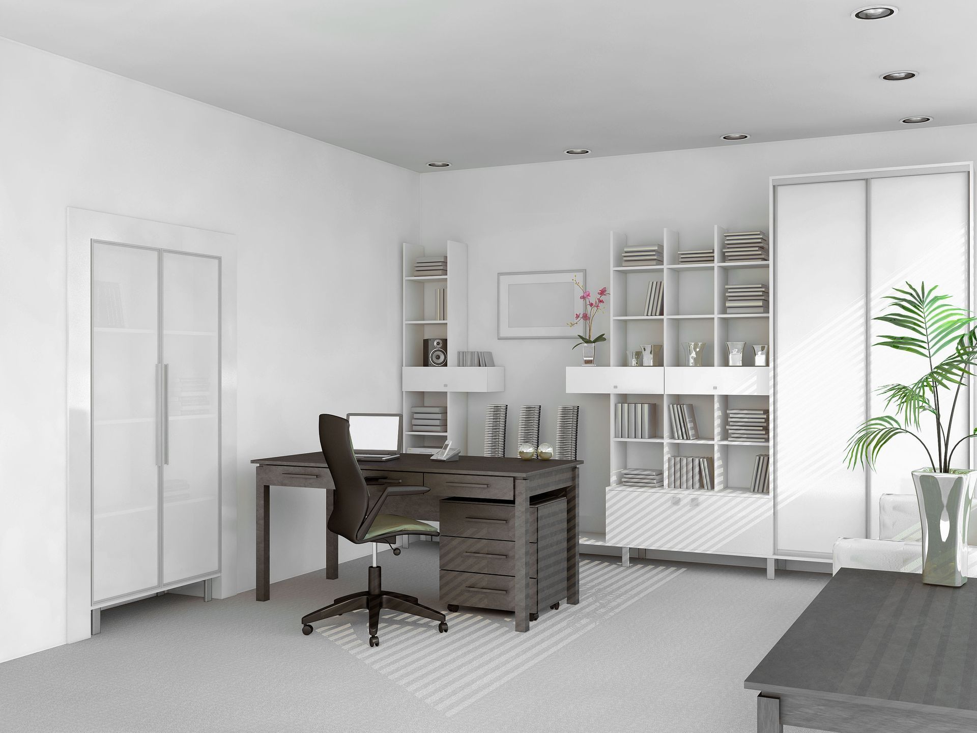 An office with a desk, shelving units, and a closet against a white wall; a plant sits beside a cabinet.