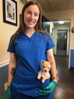 About Magnolia Animal Clinic | Shelbyville, KY Pet Care
