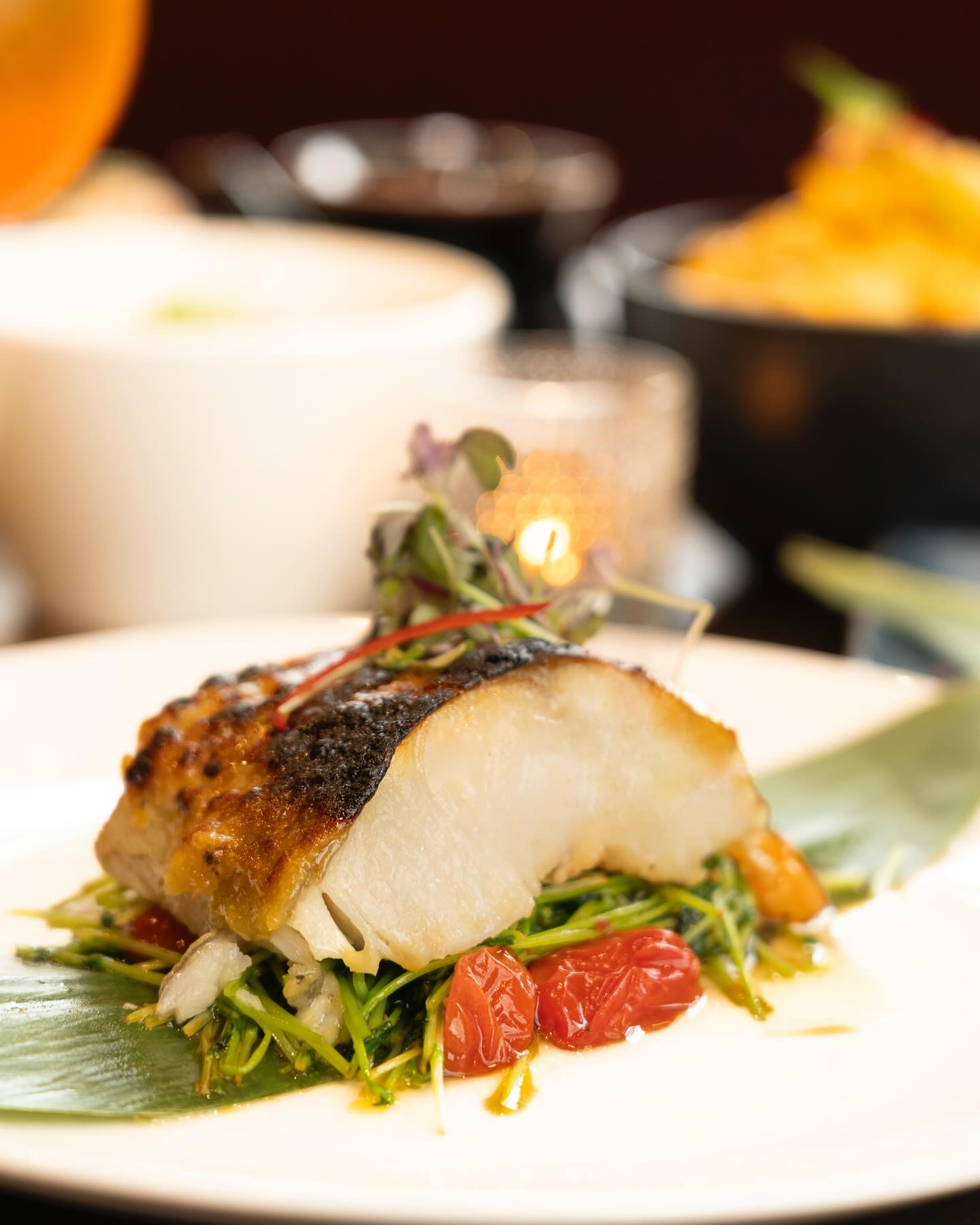 Pan-seared fish on green vegetables, grapefruit, and leaf. Shallow depth of field with side dishes in background.