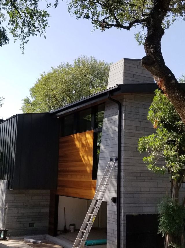 Modern house exterior with ladder, wood paneling, and tall trees above