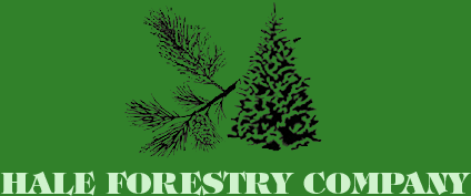 Hale Forestry Company - Logo