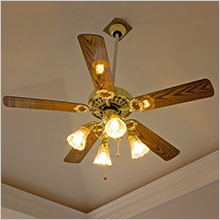 Fan With light