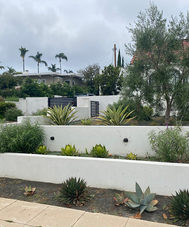 A white wall with a lot of plants on it
