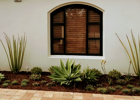 A white wall with a window and plants in front of it