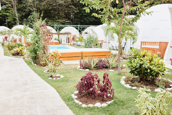 A lush green garden with a swimming pool in the background.