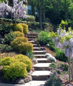 A garden with stairs leading up to a house surrounded by flowers and bushes.